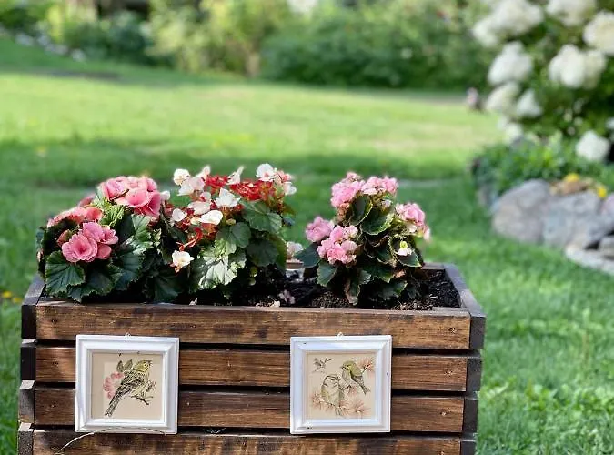 Ryytlihaus Old Town Haapsalu